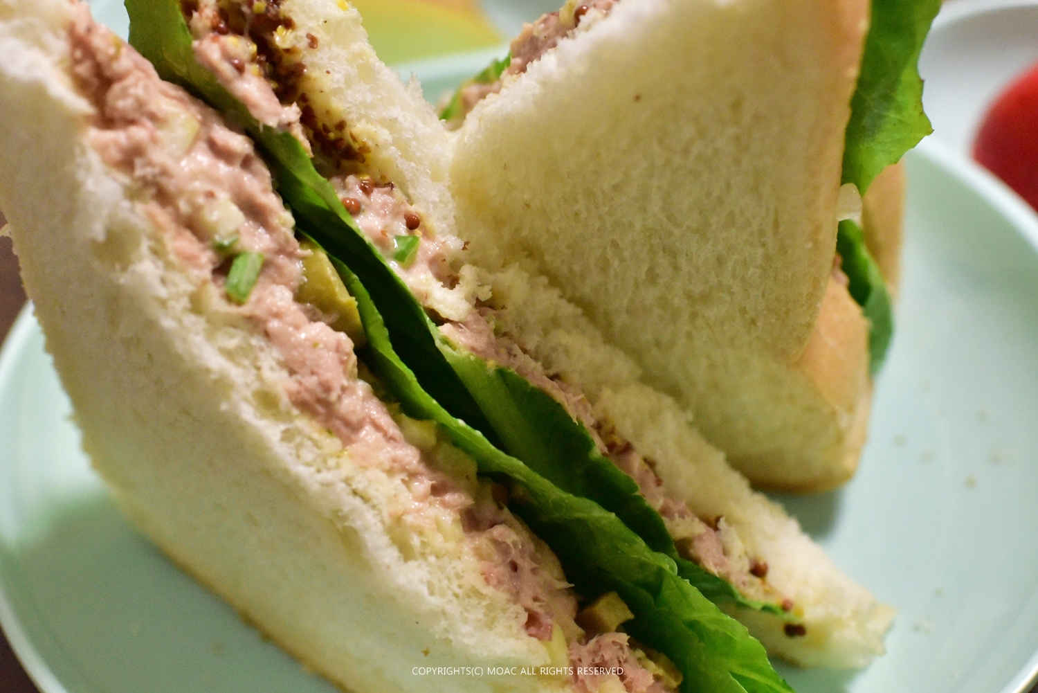 Tuna Sandwich